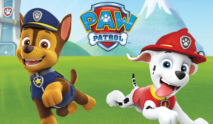 Paw Patrol on DVD