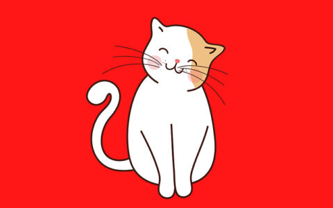 illustration of a cute white cat on a red background.