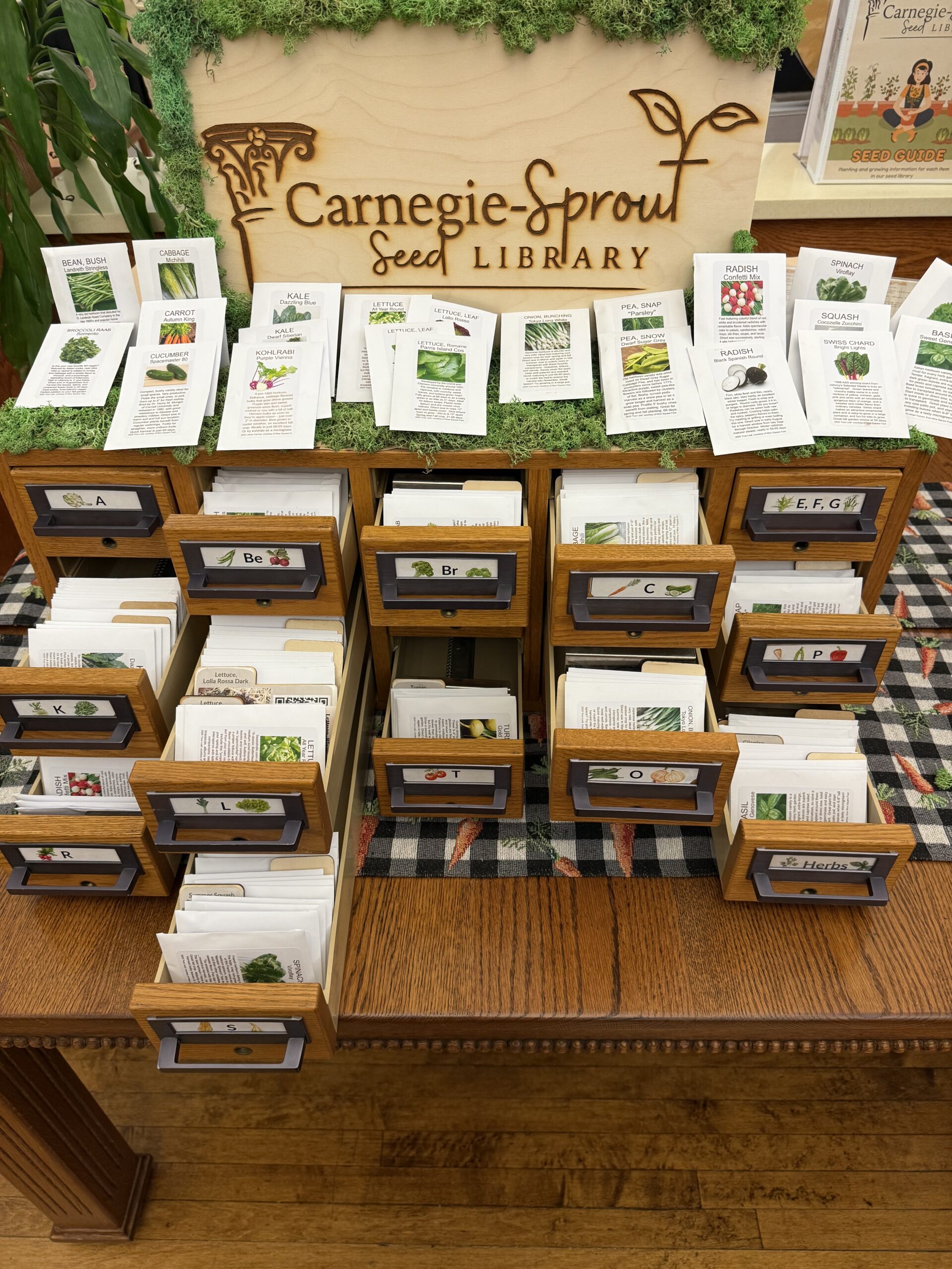 A card catalog has open drawers filled with white envelopes. There is a wood sign on top with moss that says "Carnegie-Sprout" seed library.